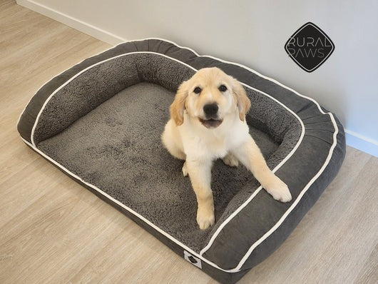Memory Foam Dog Bed