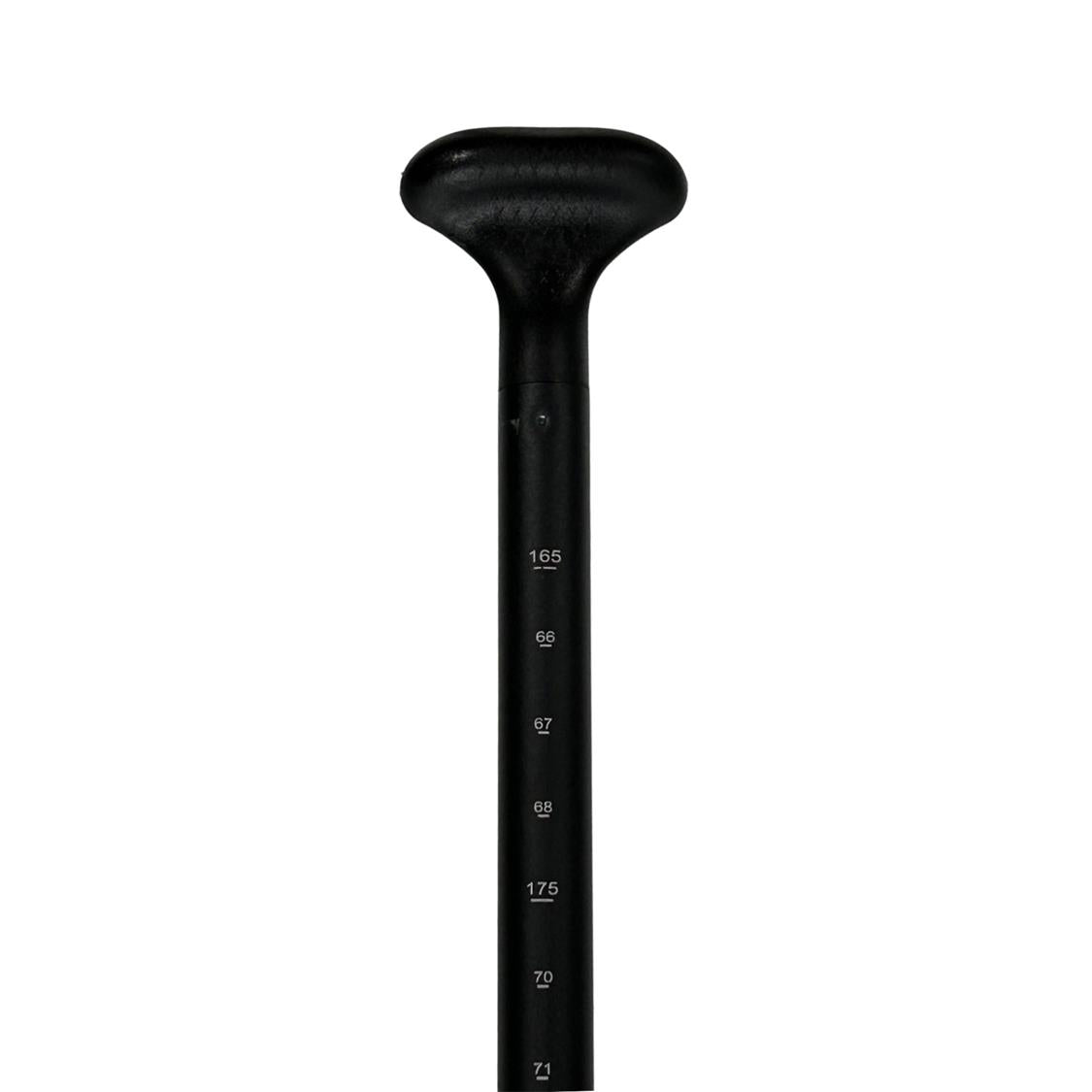 Zray 3PC Paddle (2)