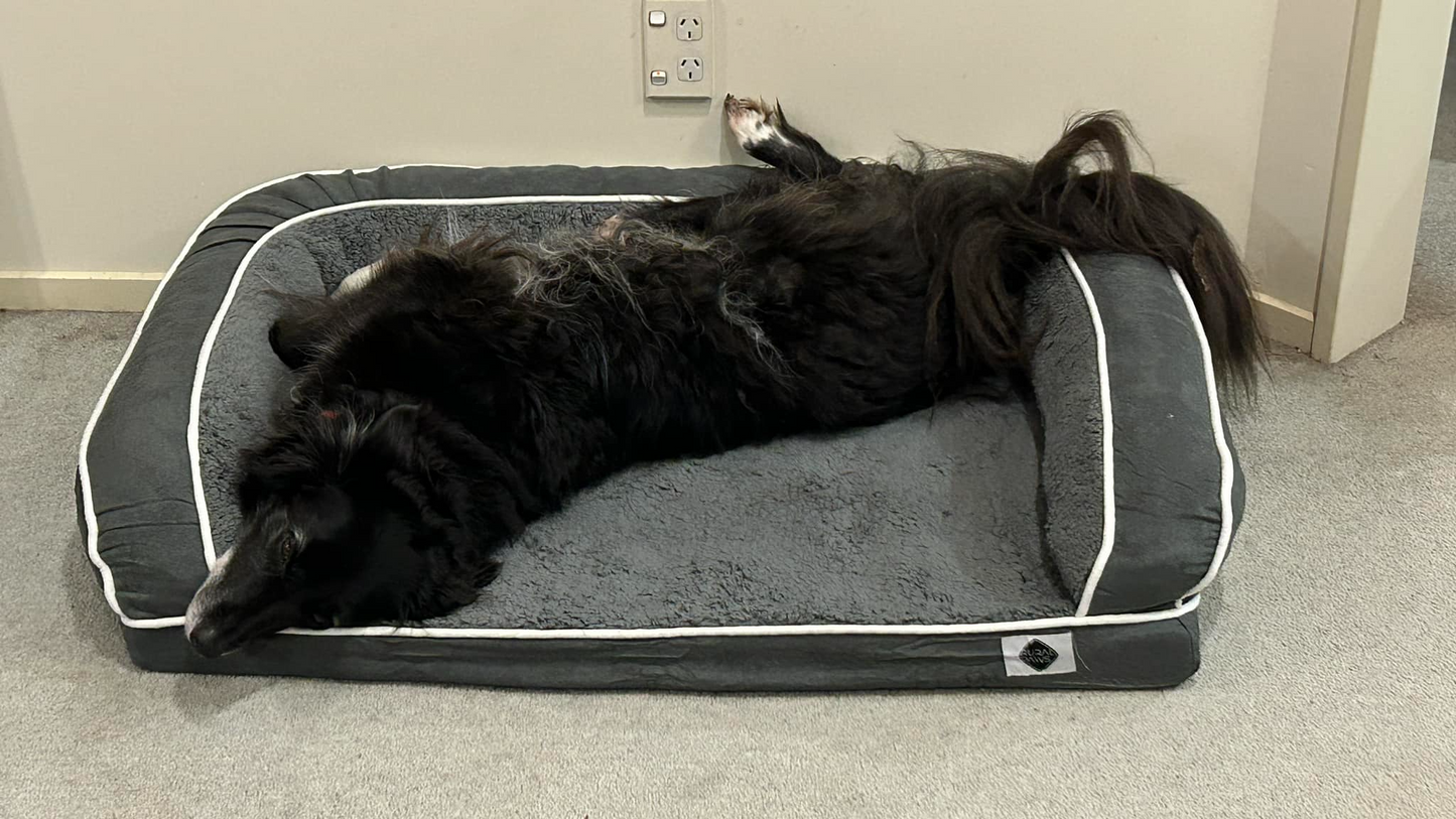 Memory Foam Dog Bed