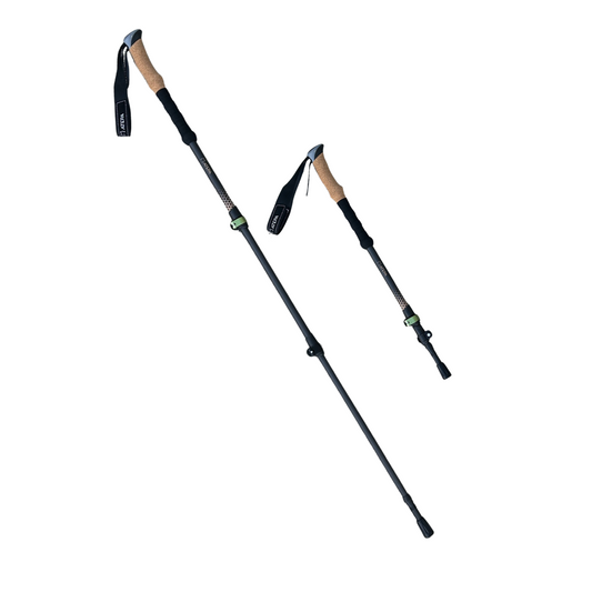 Atepa Retractable Trekking Pole (6)