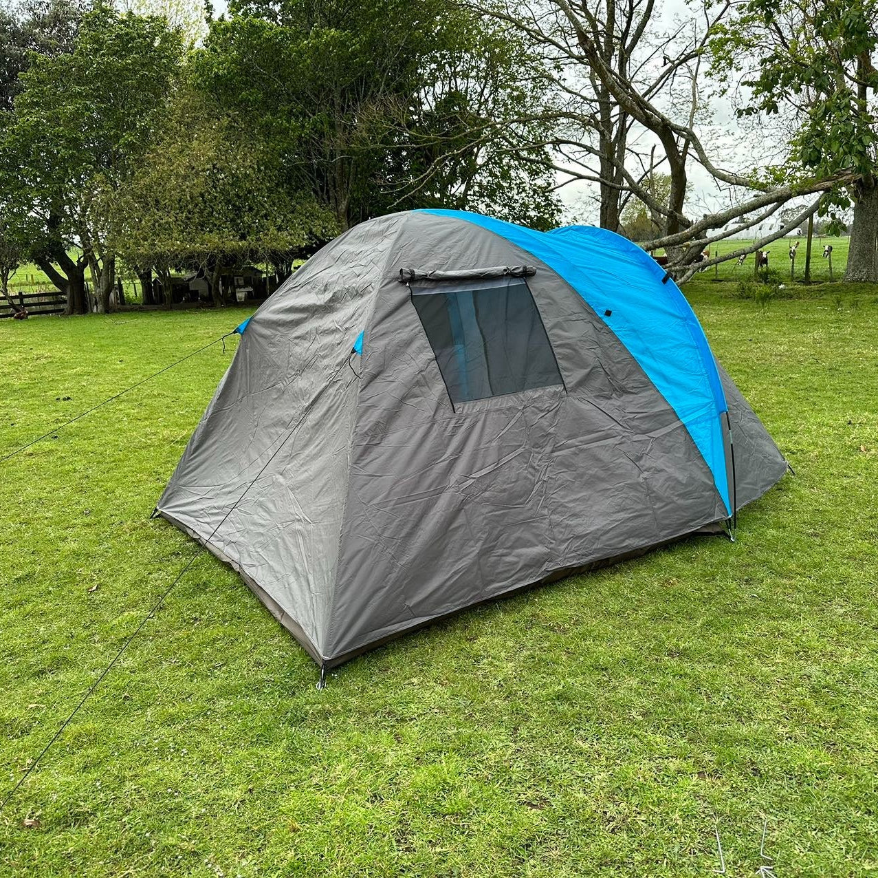 Wanderer 3 person tent