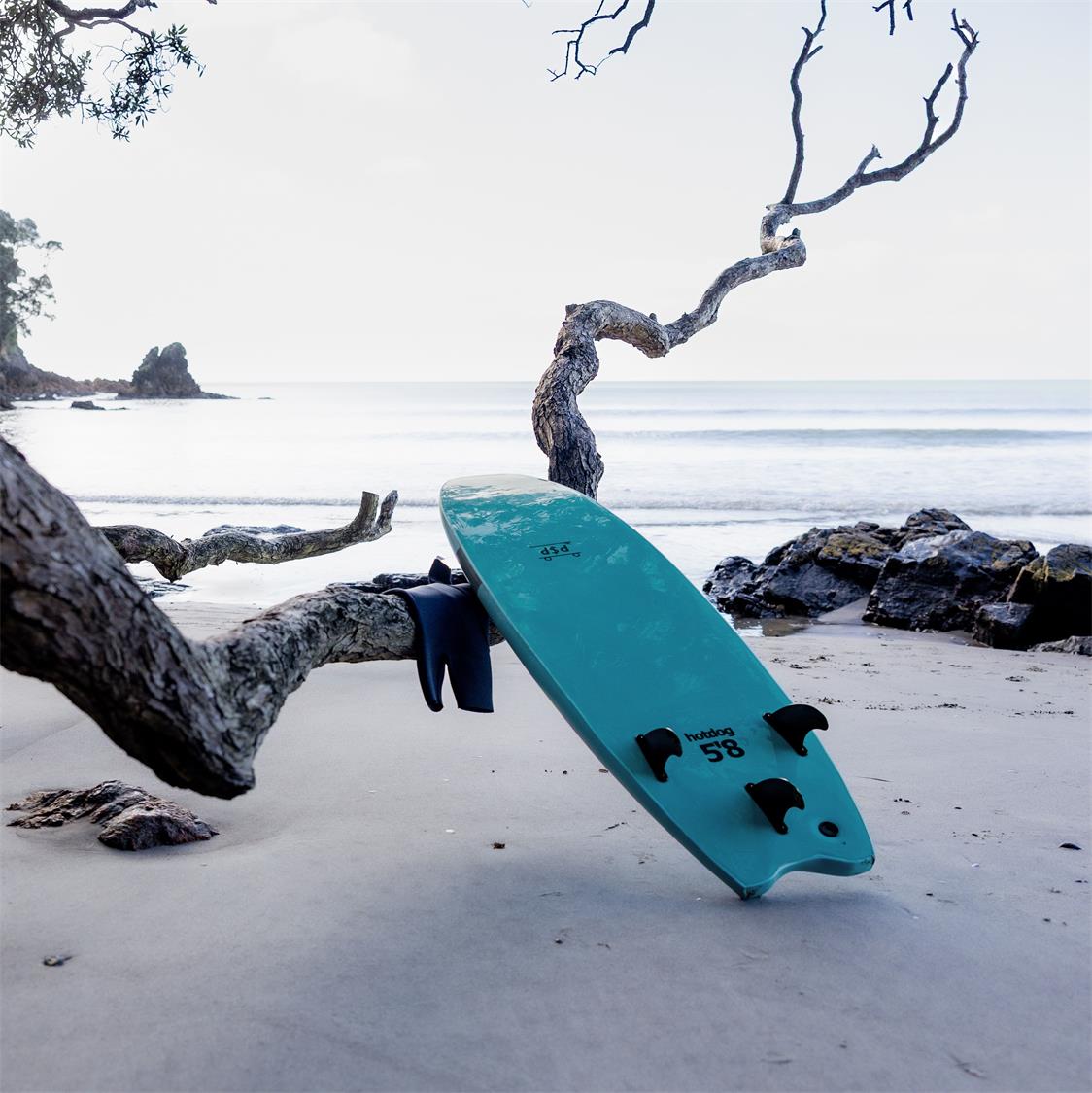 Hotdog Lifestyle  (1)